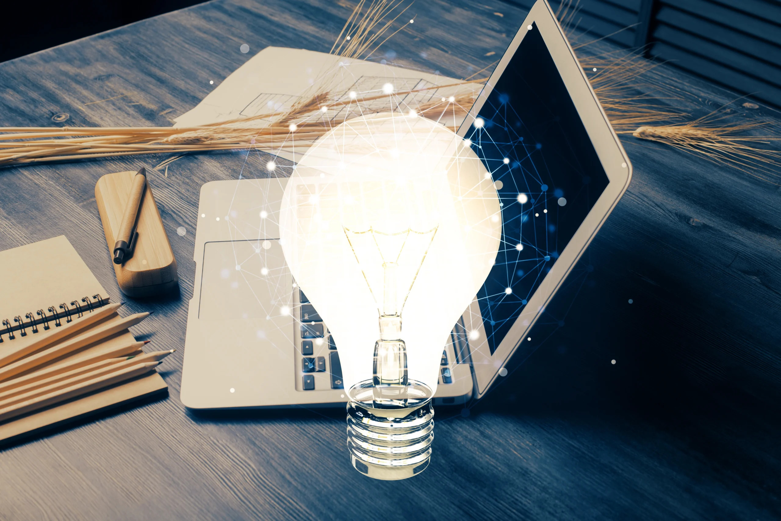 La Suisse entre l’indépendance énergétique durable et opposition des paysagistes